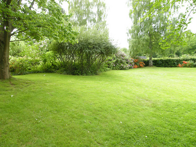 DSCN5481.jpg
