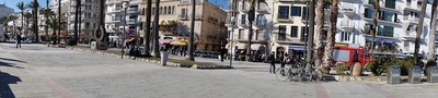 DSC01894.jpg