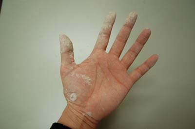 DSC_1652.jpg